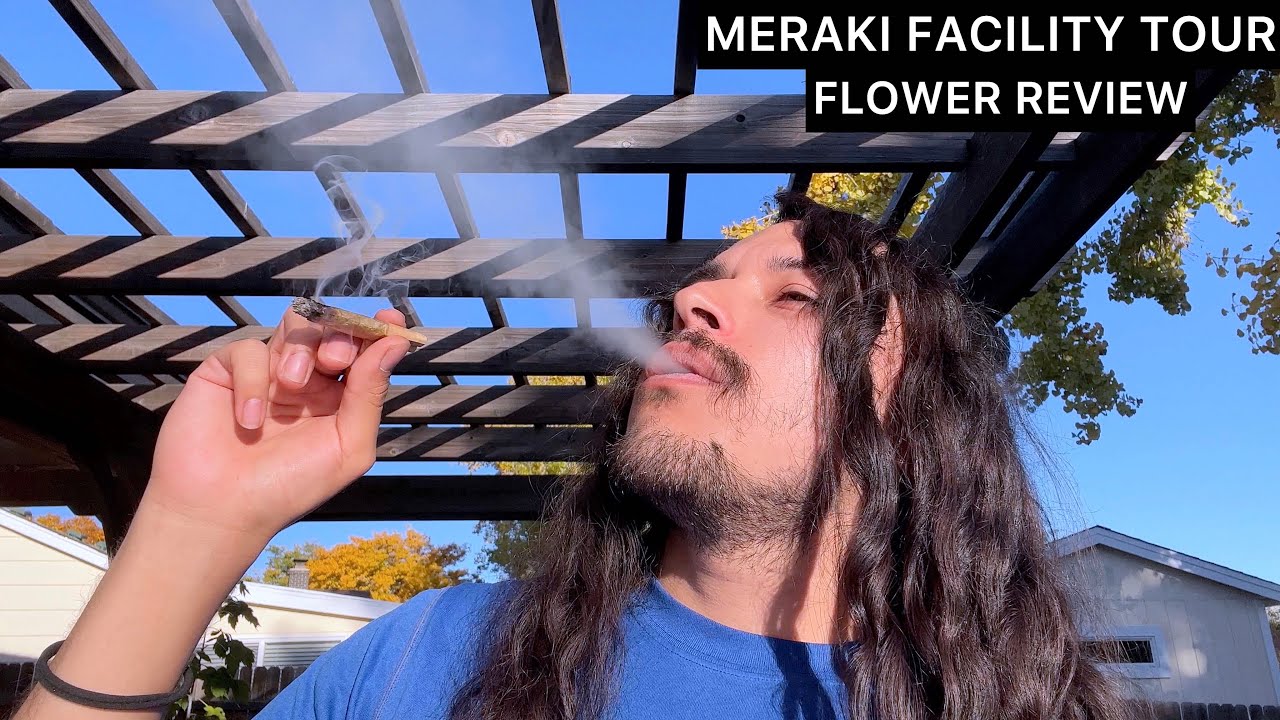 MERAKI Tour and Flower Review | PINK CERTZ | FATTY CAKES | DRY ICE | Grow Room Tour