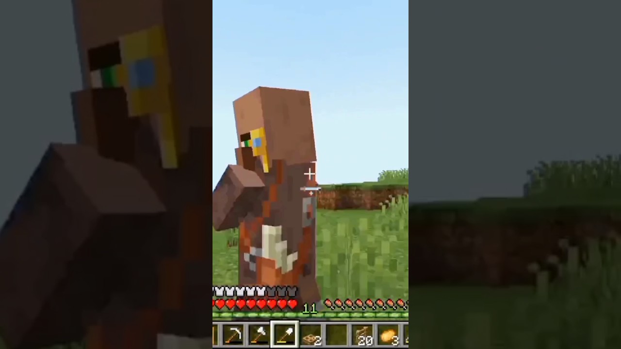 LUDI SELJAK!!! #leolini #minecraft