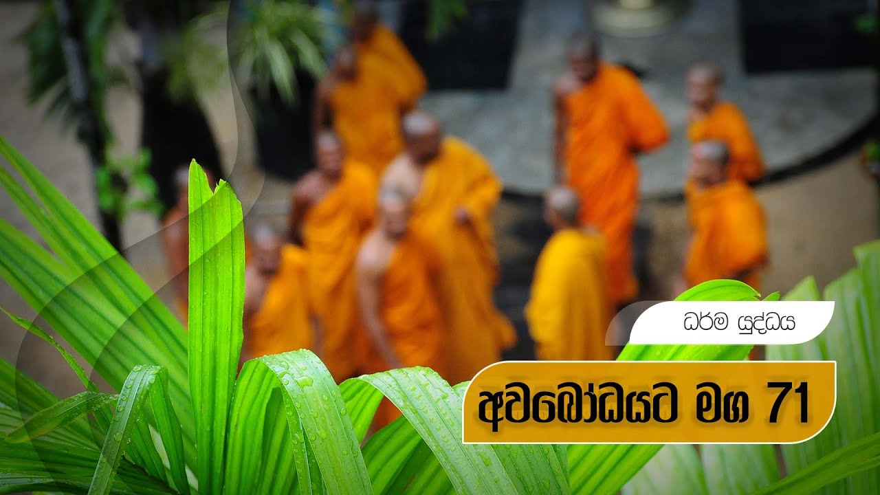 අවබෝධයට මග 71 | ධර්ම යුද්ධය