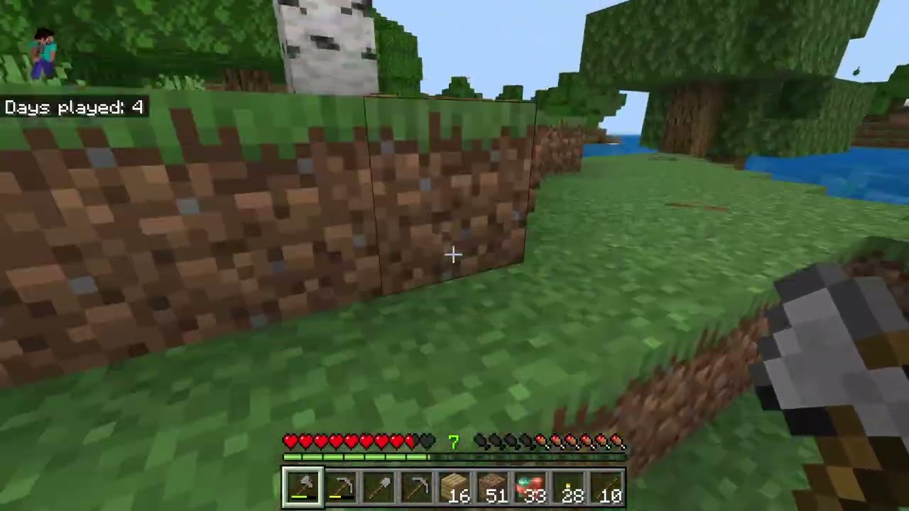 Day 5 of making a home in minecraft.