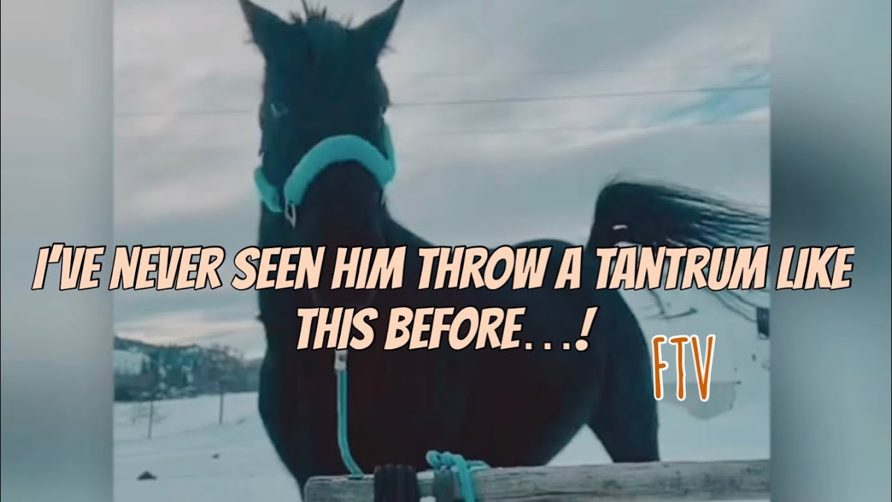 I don&rsquo;t think anyone would believe me if I hadn&rsquo;t caught this on camera&hellip;