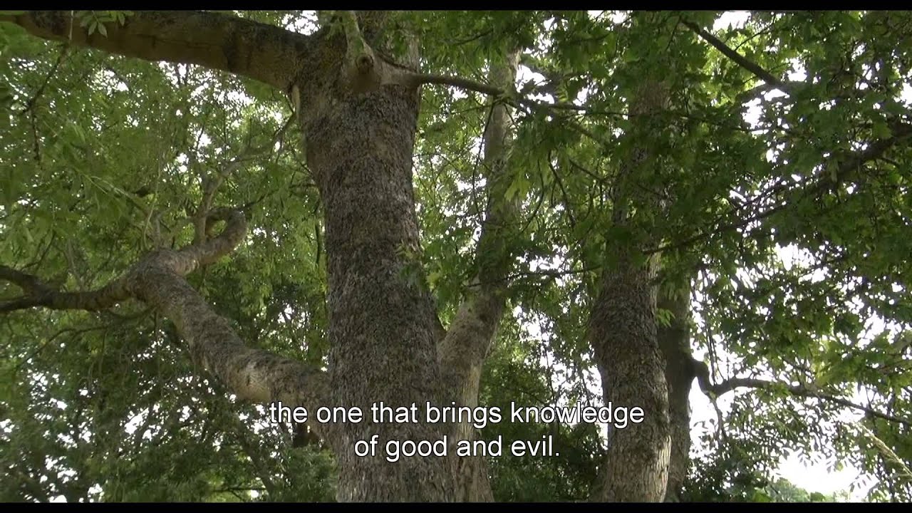Paradise / Le Paradis (2014) - Trailer English Subs
