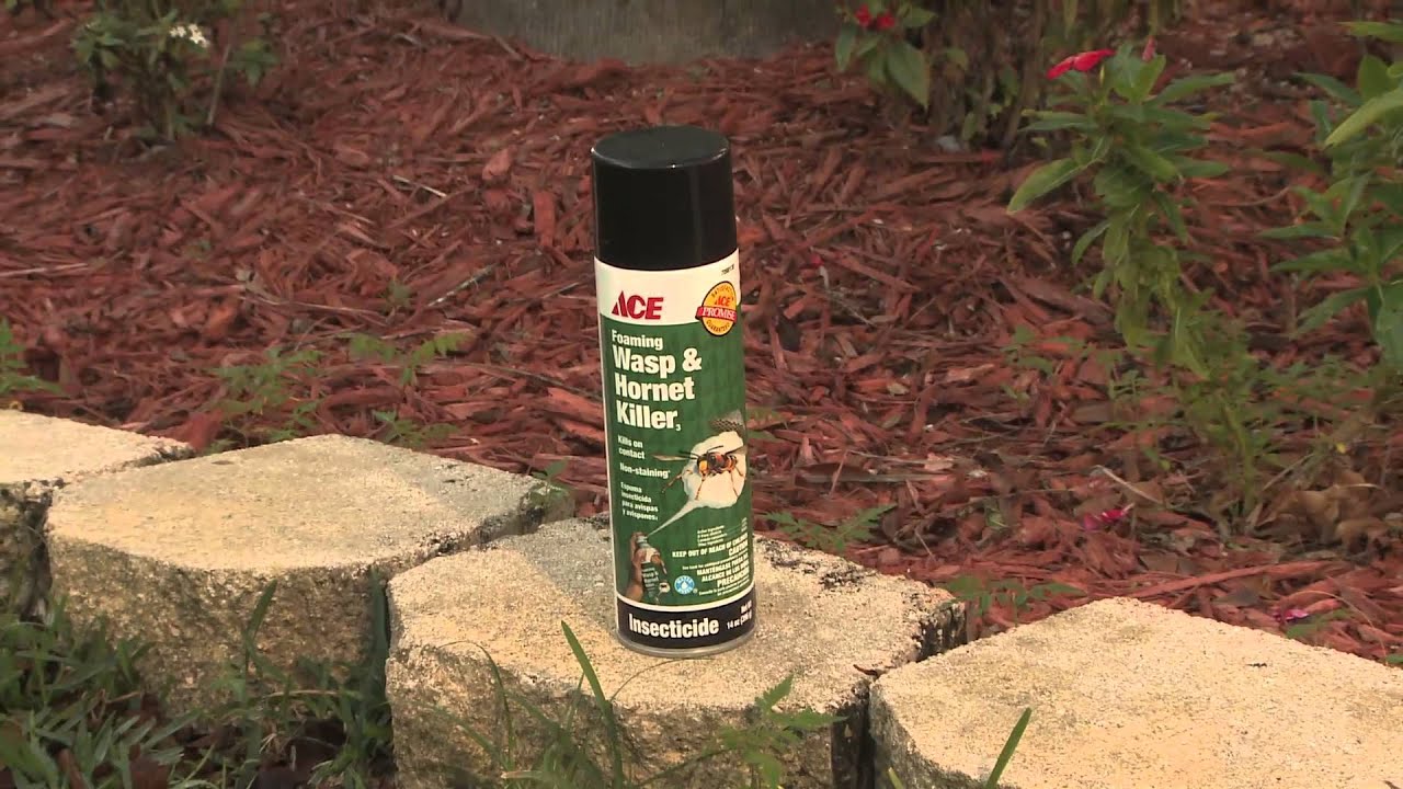 How To Prevent Bugs and Insects - Ace Hardware