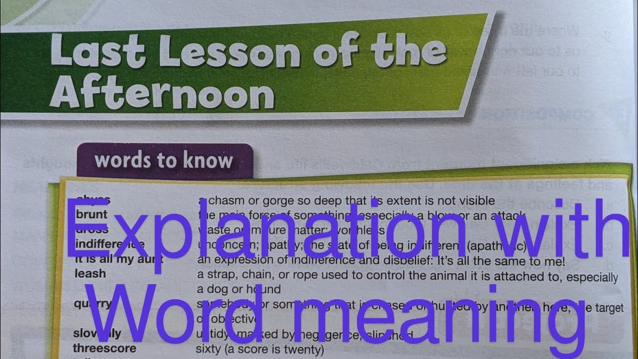Poem: Last Lesson of the Afternoon| Explanation and words meaning| New Oxford Modern English Book 8