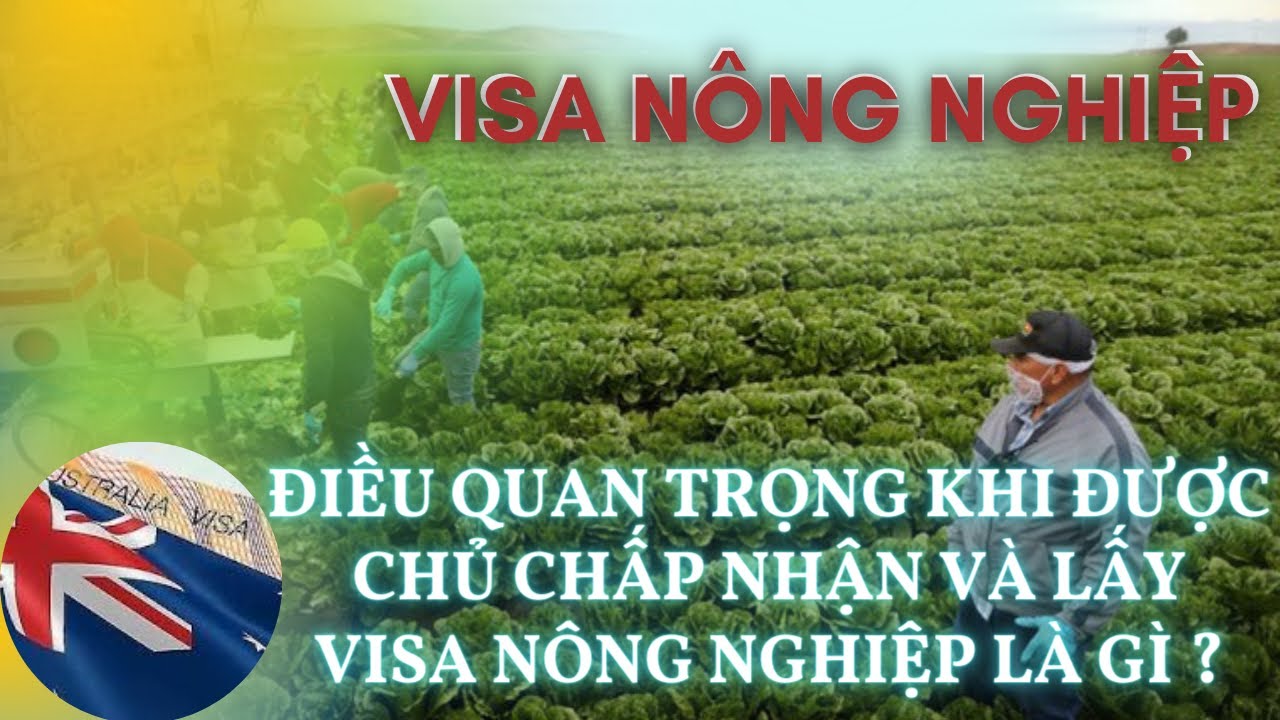 ĐỂ ĐƯỢC CHỦ BẢO LÃNH THÌ MÌNH PHẢI LÀM GÌ ? | LÃNH SỰ QUÁN ÚC CŨNG CẢNH BÁO VỀ VISA NÔNG NGHIỆP.
