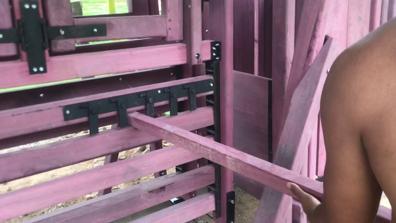 Tronco de contenção