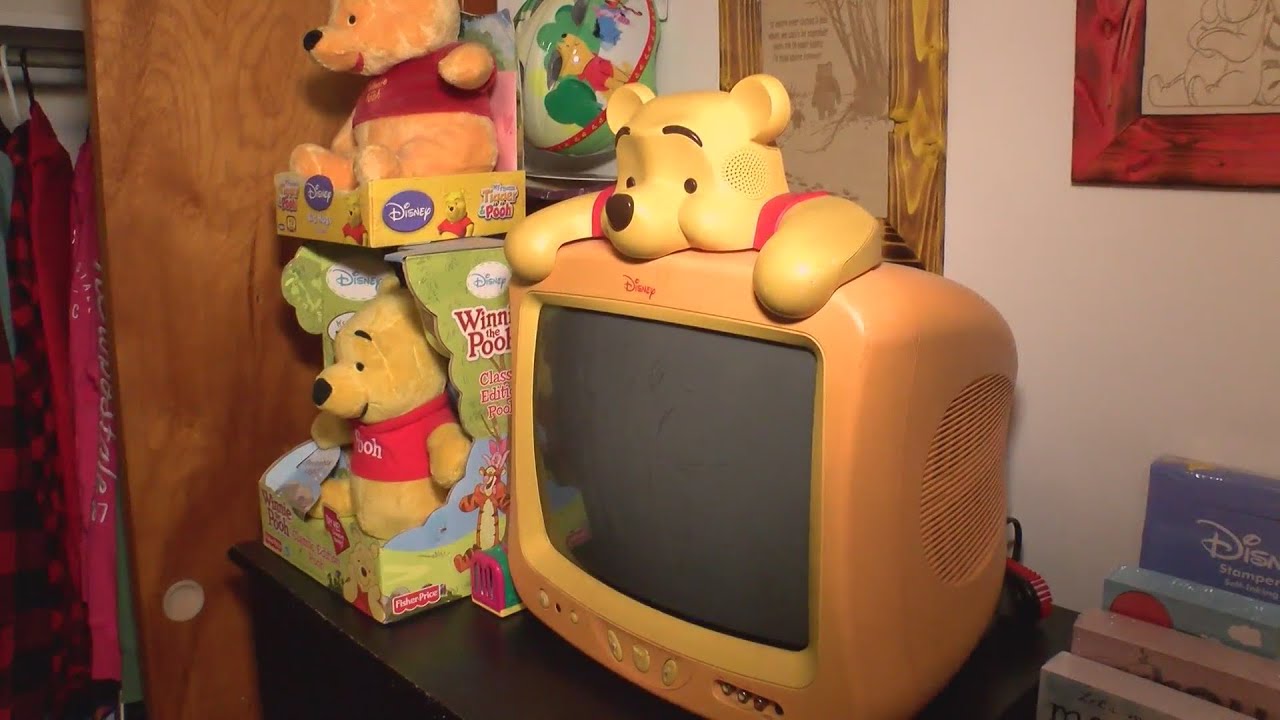 Elizabethton woman hoping to break world record for largest Winnie the Pooh collection
