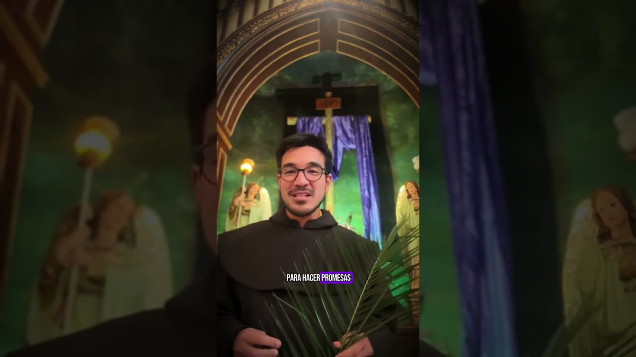 Domingo de Ramos 🌿 &iexcl;Batid las palmas a &Eacute;l! | Fray Carlos Villa #Shorts #TeleVID #SemanaSanta