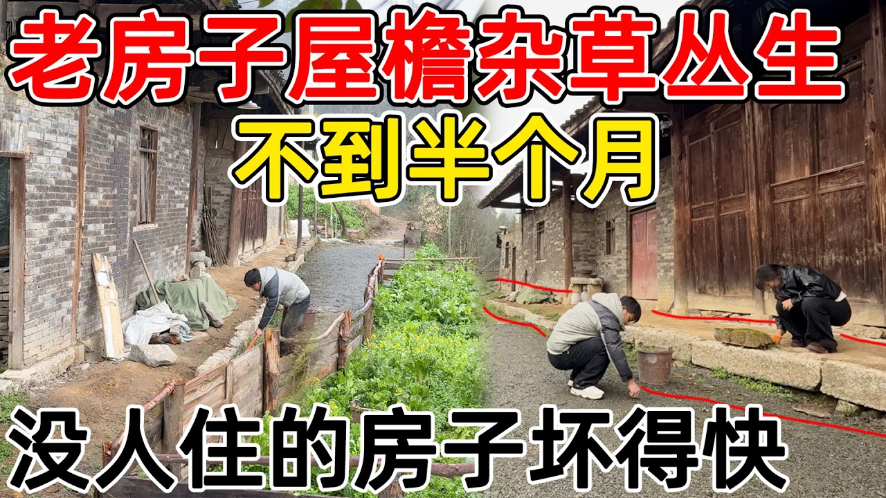不到半个月，老房子到处杂草丛生  草都长到屋檐来了，赶紧清理掉！有人住的房子才有生活气