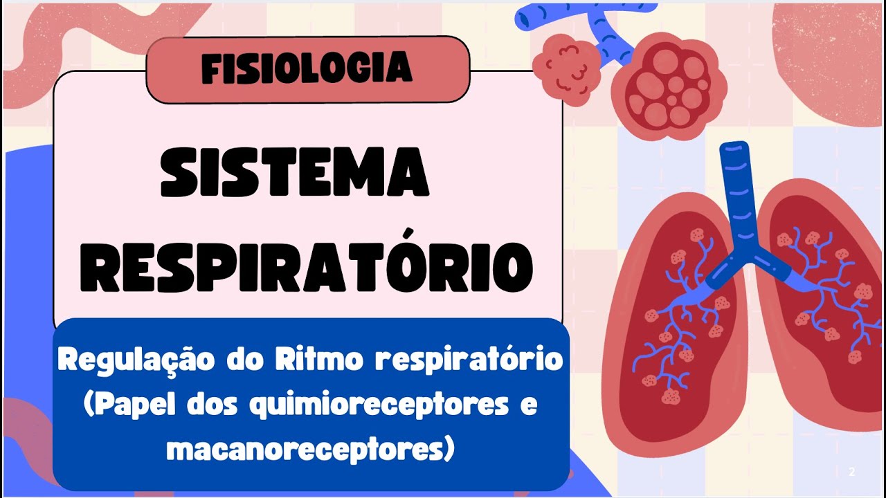 Regulação do Ritmo Respiratório: Como o Corpo Controla a Respiração?