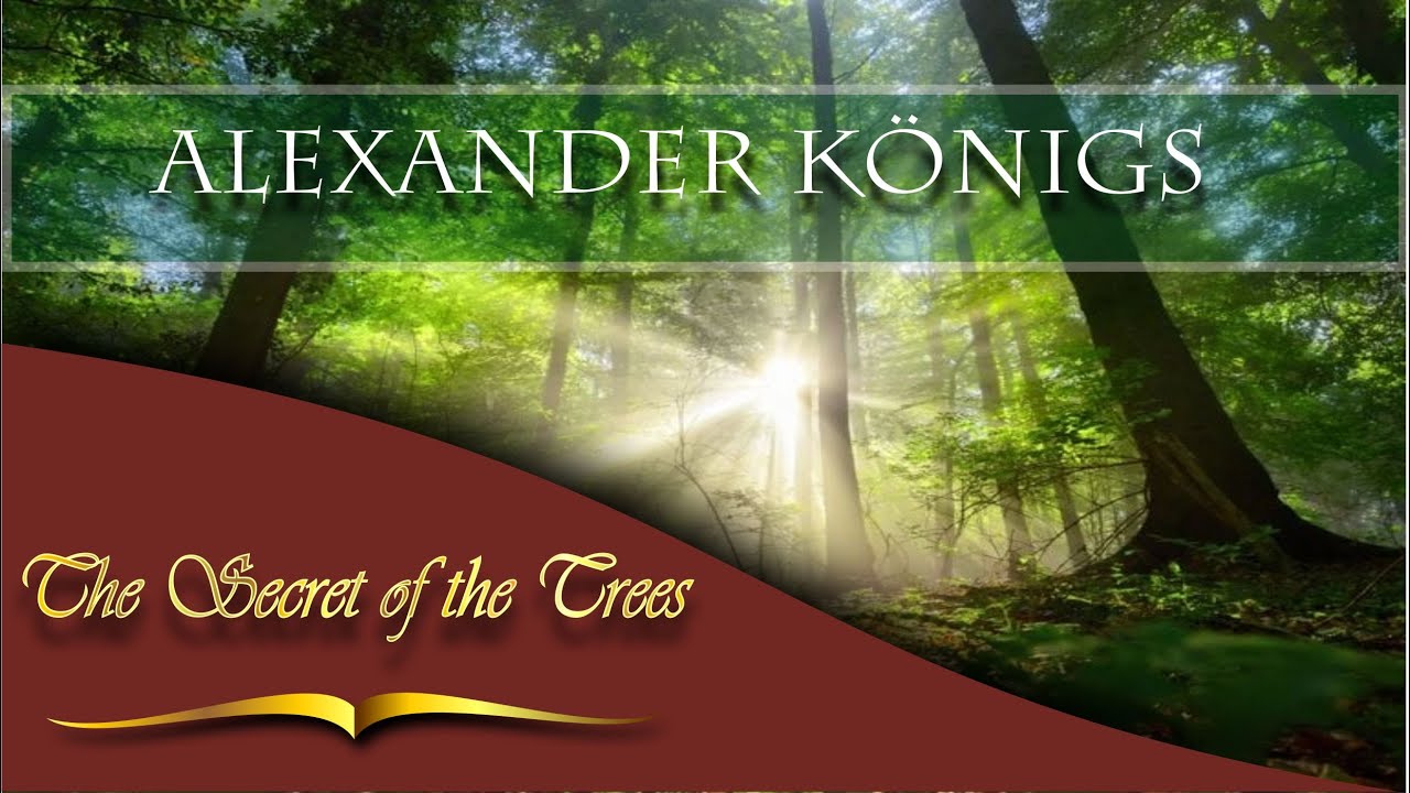 The Secret of the Trees,  composition by Alexander Königs-a walk among the secret life of the forest