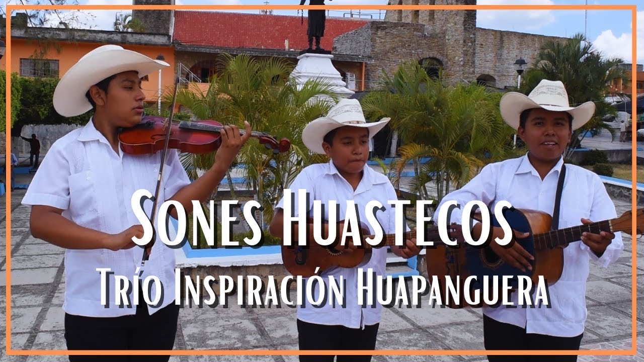 Sones tradicionales por el Tr&iacute;o Inspiraci&oacute;n Huapanguera de Tantoyuca Ver.