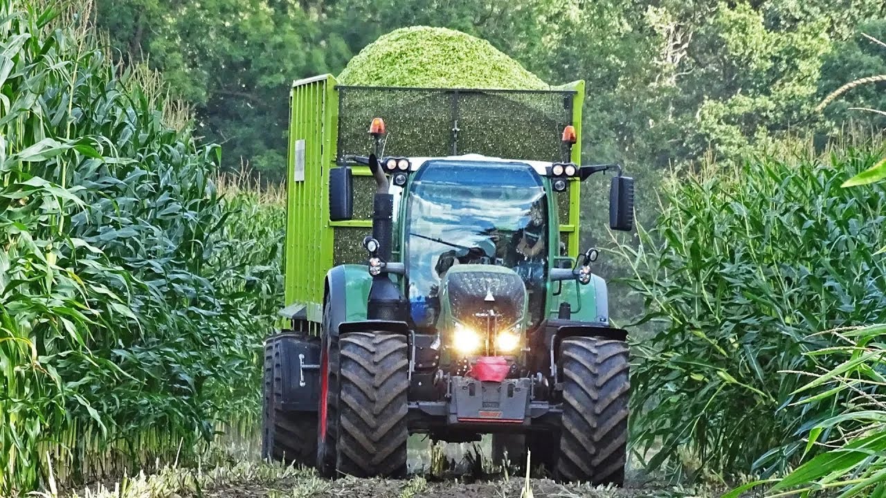 Mais Silage | Claas Jaguar 950 + Fendt + Volvo | Schimmel B.V. | Leusden | 2019