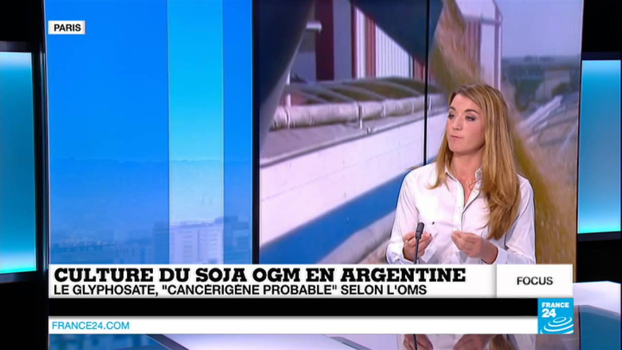 Argentine : OGM et pesticide, un tandem toxique ?