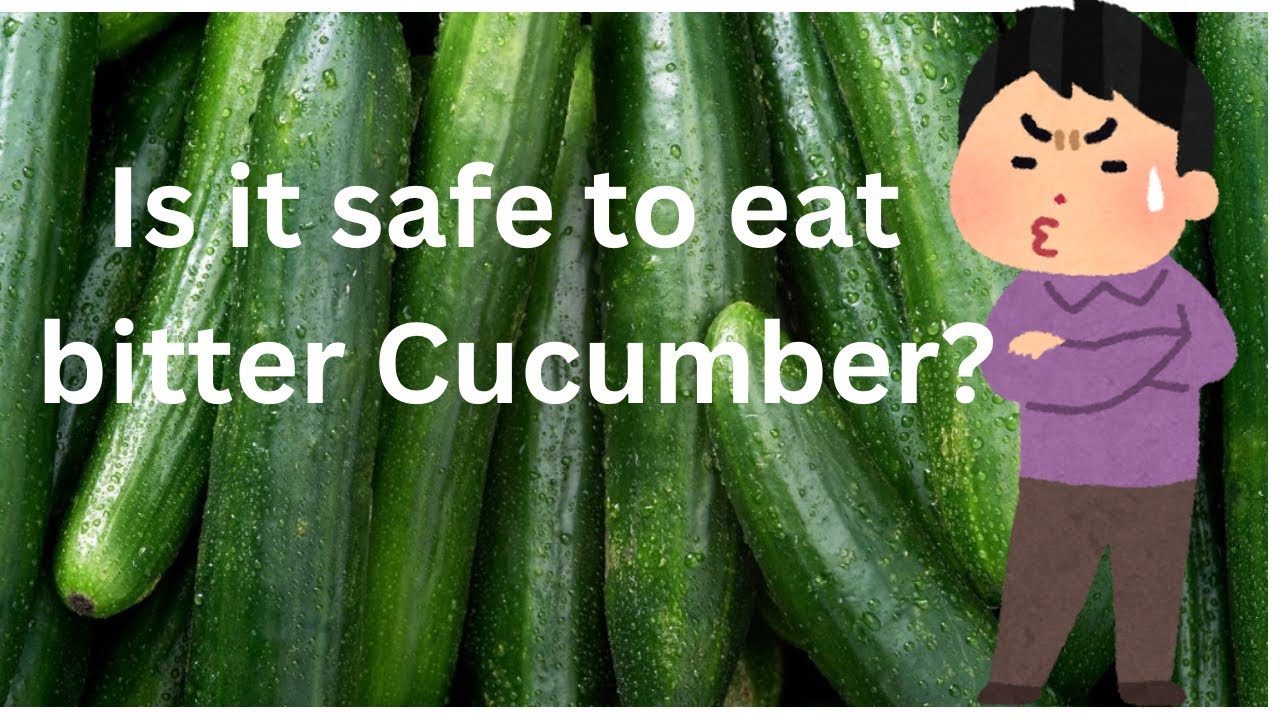 Is it safe to eat bitter cucumber?