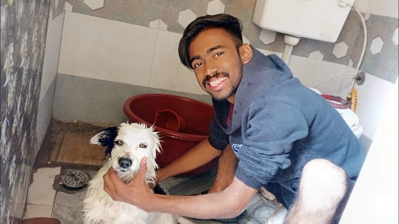 He Hates Baths... Or Does He? 🐶🚿