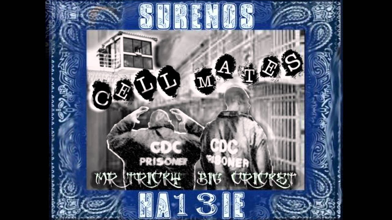 BUSTIN ON FOOLS by.MR.TRICKY & BIG CRICKET LOCO