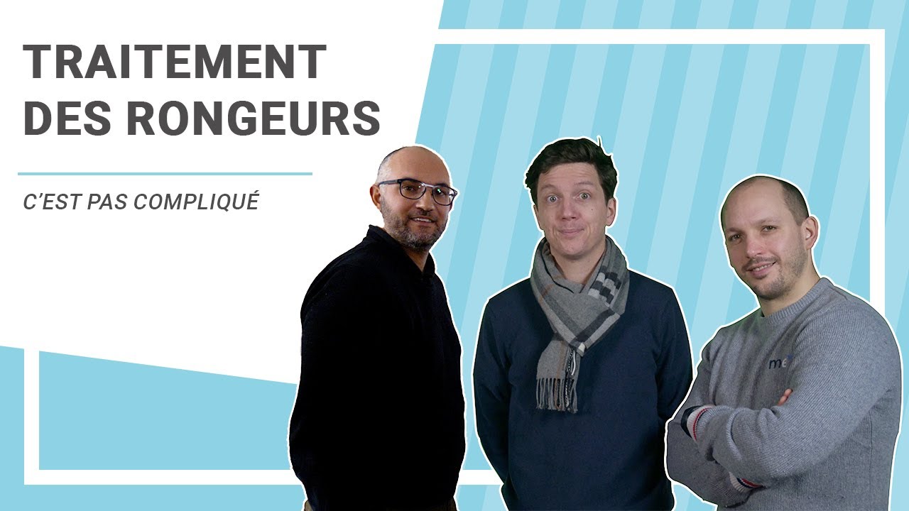 Traitement des nuisibles : les rongeurs — C'est Pas Compliqué !