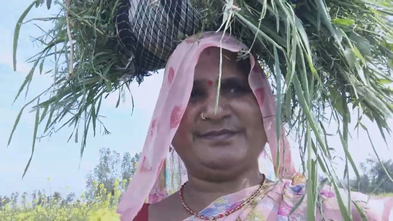 खेत के वीडियोहै 🙏💯🙏🙏