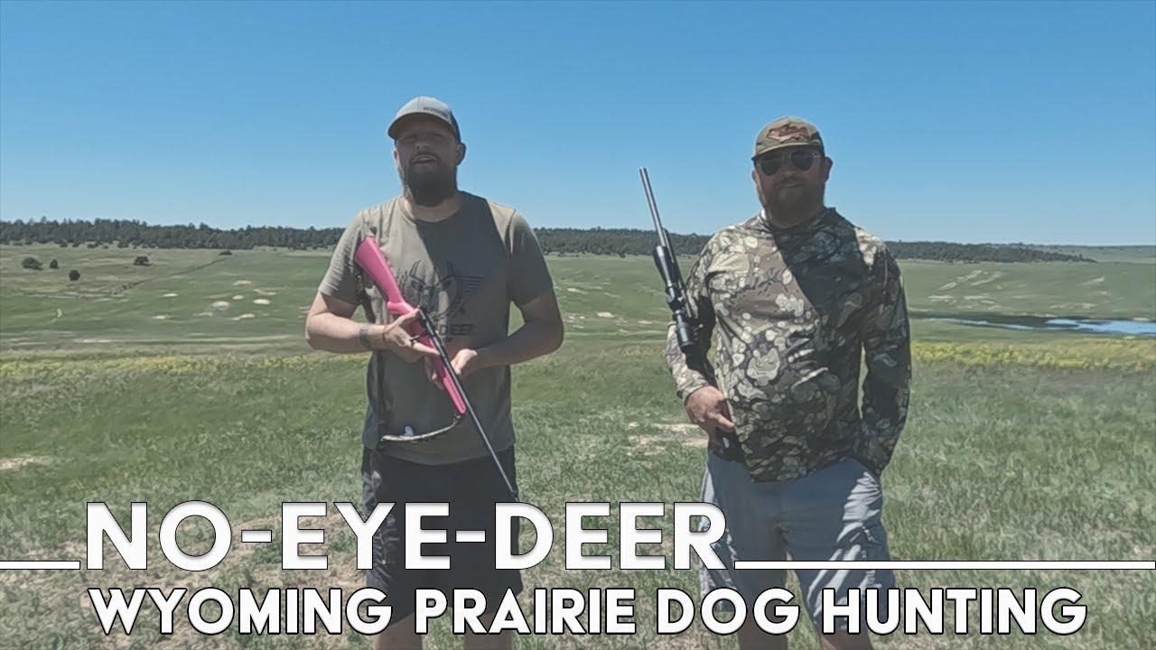 Prairie Dog Hunting 17 Hmr In Wyoming