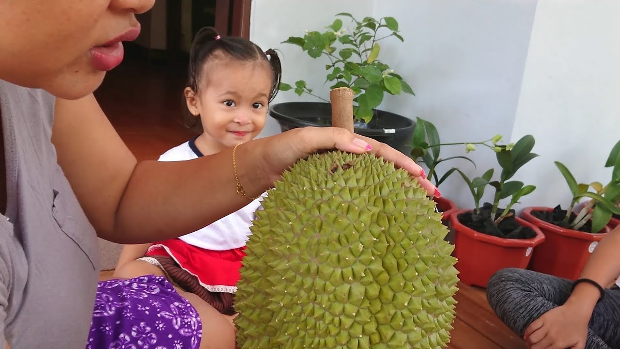 Reaksi Balita Lucu Makan Duren - Kids Try Eat Durian Fruit