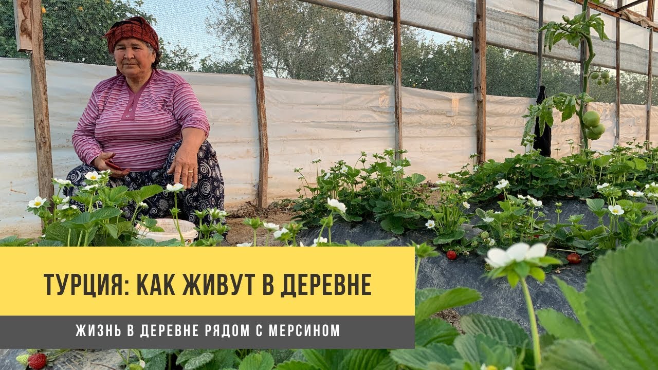 Турция -  как живут в деревне. Деревенская жизнь под Мерсином