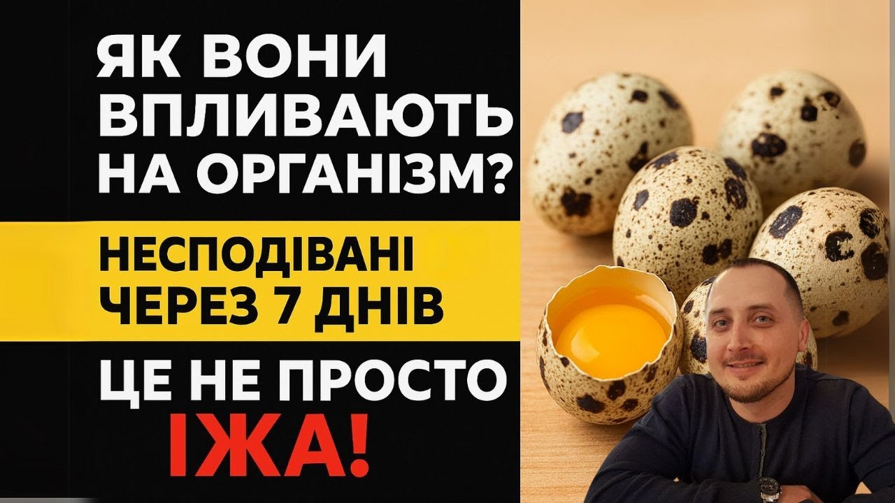 ЩО БУДЕ, ЯКЩО ЇСТИ ПЕРЕПЕЛИНІ ЯЙЦЯ КОЖЕН ДЕНЬ? РЕЗУЛЬТАТИ ШОКУЮТЬ!
