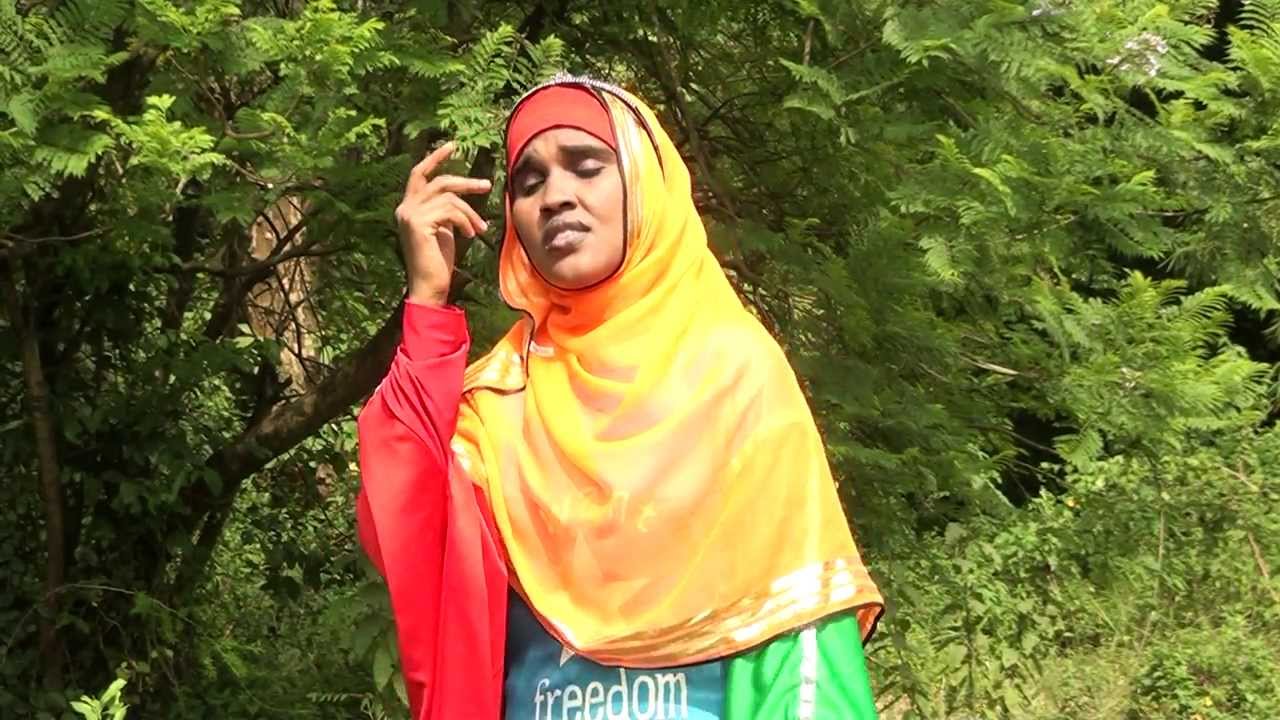HEESTII HAMBALYO OGADENIA FARXIYO LADAN 2014