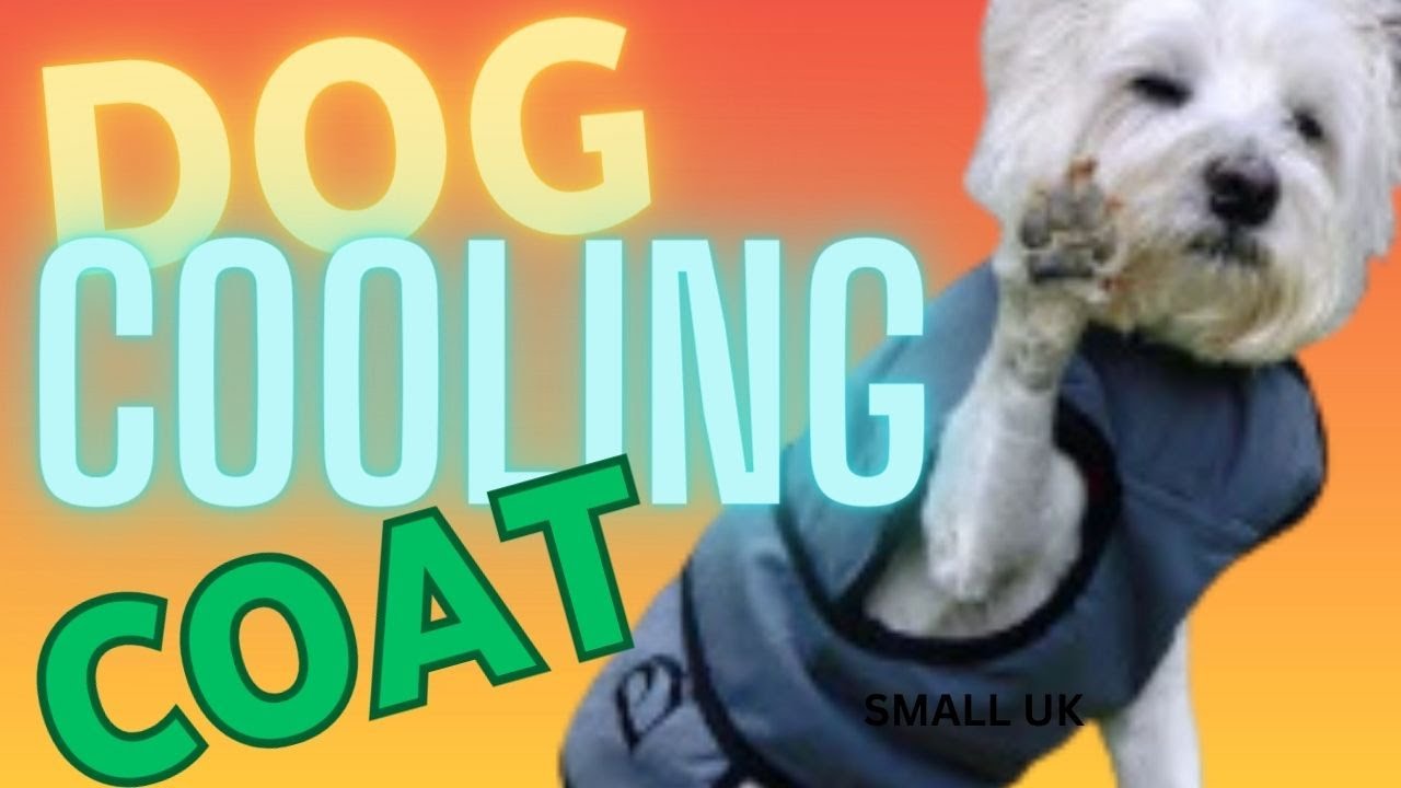 Dog Cooling Coat Small UK | Pet Devotion