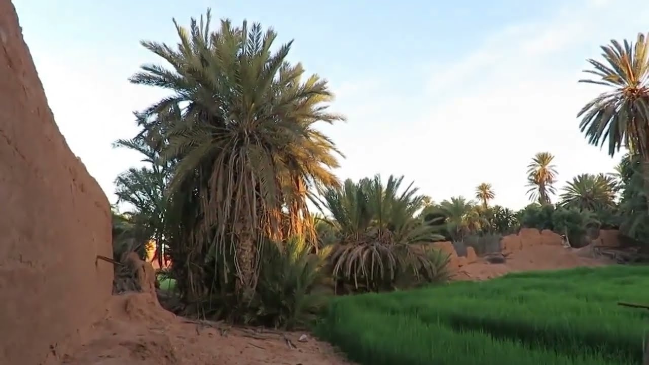 جولة في واحة تيغمرت التابعة لمدينة كلميم الجزء الاول 1