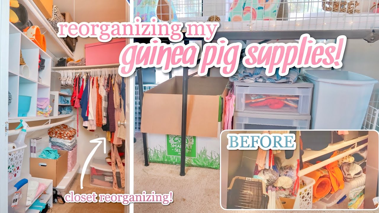 REORGANIZING MY GUINEA PIG SUPPLIES 🧹🧼🐽