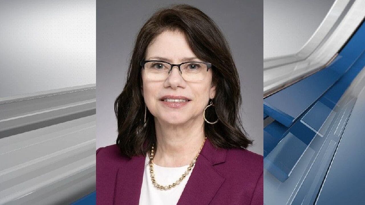 Senate DFL meets to discuss leadership change