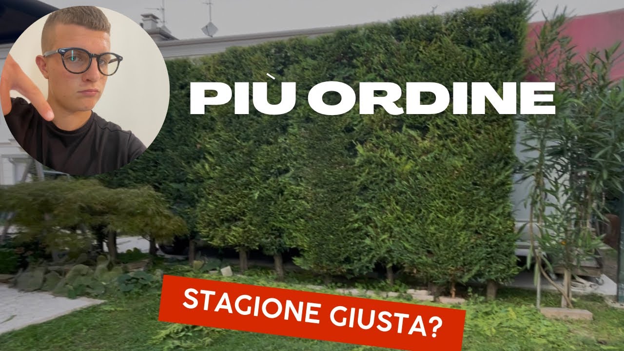 Sistemo il giardino per l'arrivo dell'autunno!