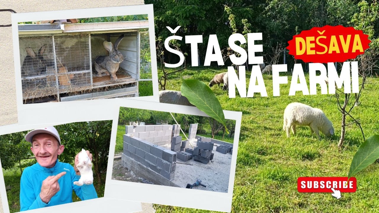 PRESEK STANJA NA FARMI: NAPREDUJE GRADNJA, NOVI KUNIĆI, POVRIJEĐENI ROKI I OVCE NA PRODAJU
