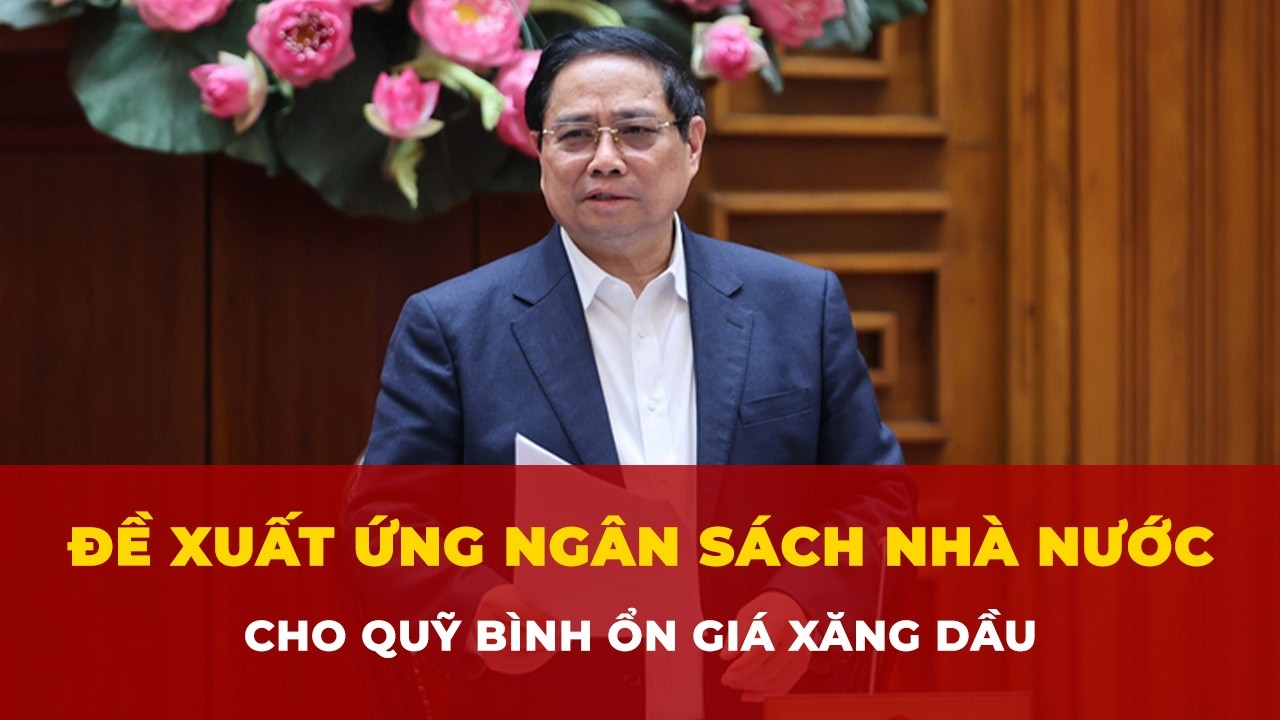 Thủ tướng: Đề xuất ứng ngân sách nhà nước cho Quỹ bình ổn giá xăng dầu | Tin nhanh