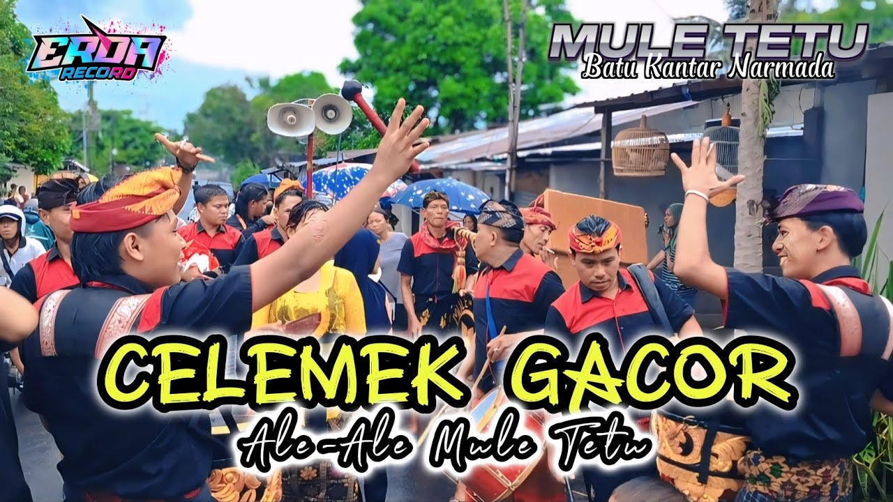 CELEMEK GACOR‼️ALE-ALE MULE TETU KANTAR NARMADA - LIVE DI DESA DASAN TERENG NARMADA...