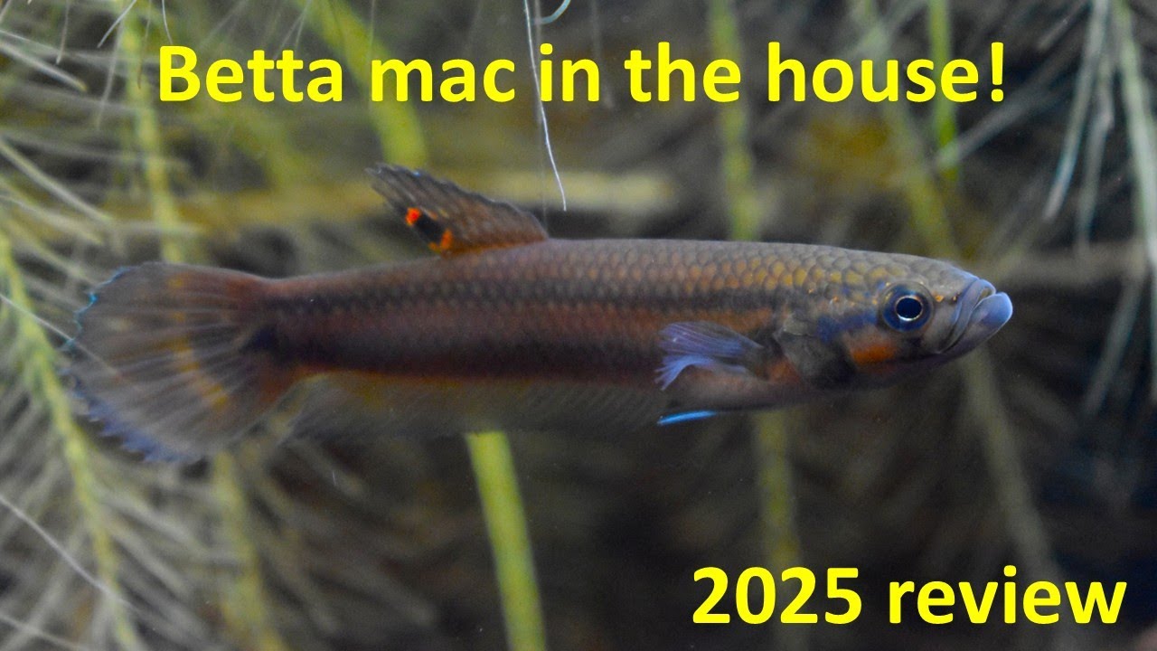 2025 in Review