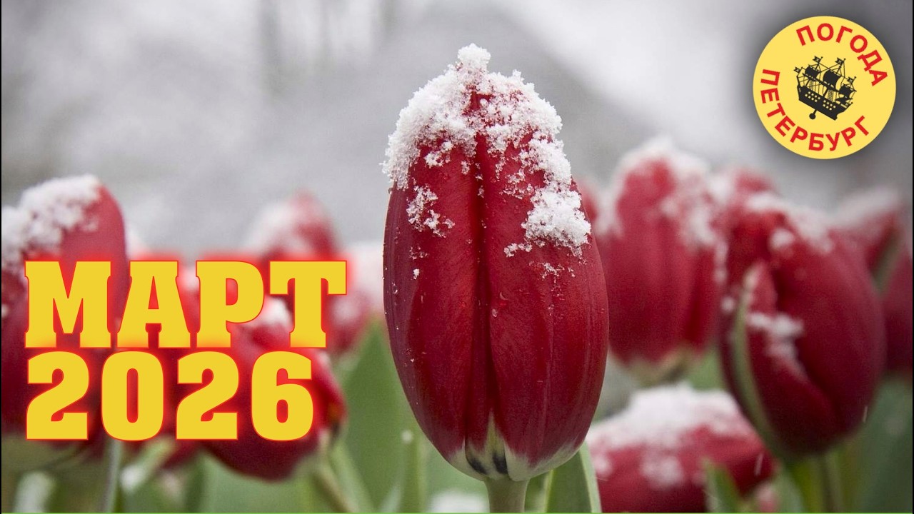 2026.03.16. Погода Петербург. 07:47. +4°. Быстрый как ветер.