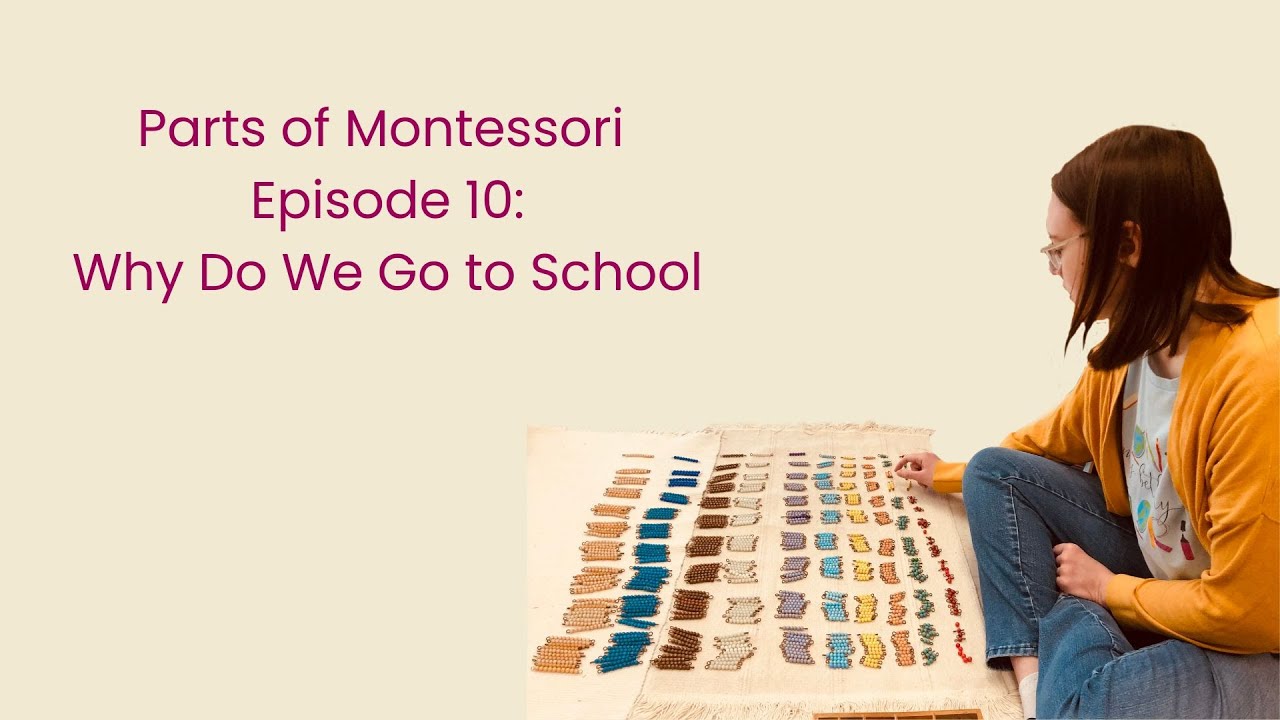 Parts of Montessori Episode 11: Why Do We Go to School