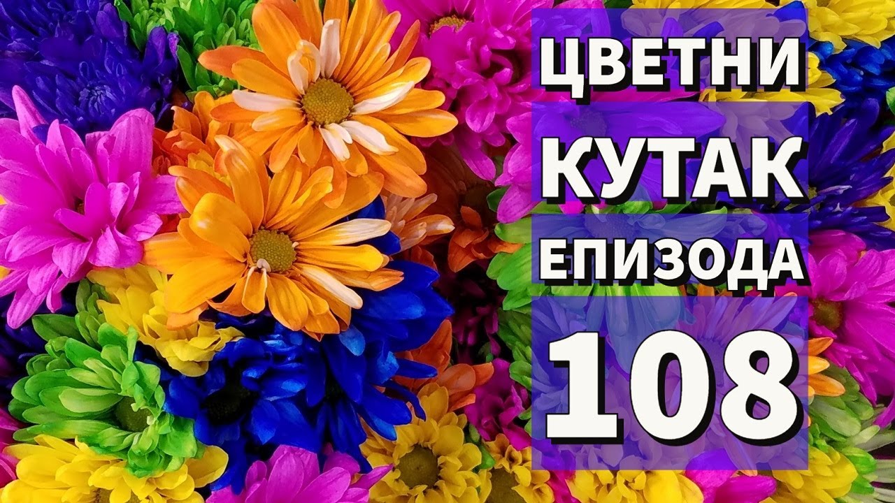 Cvetni kutak ep. 108 02.12.2021. Viole, osmantus, ASC Garden, Botanička bašta 