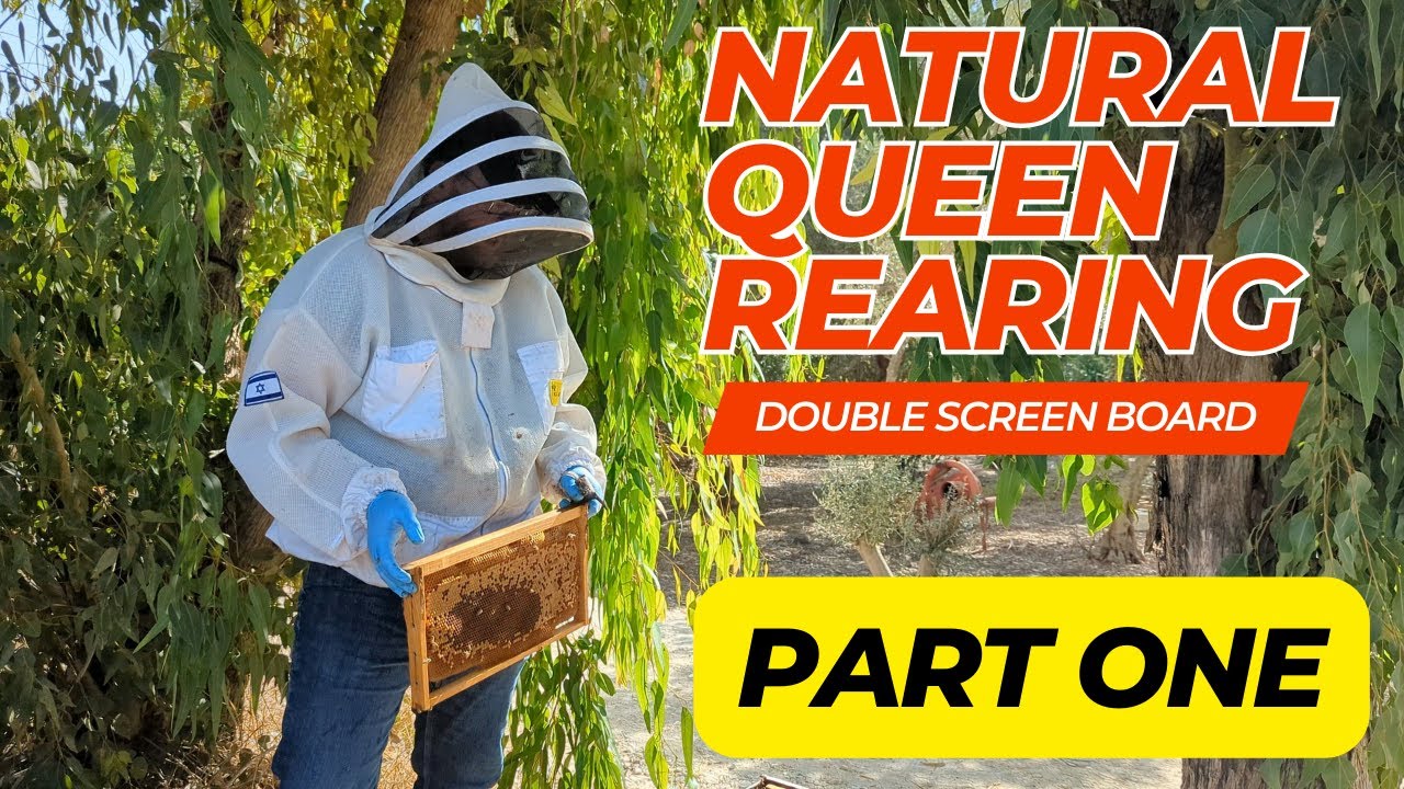 Part 1 || Make Queens the Easy Way: Double Screen Board