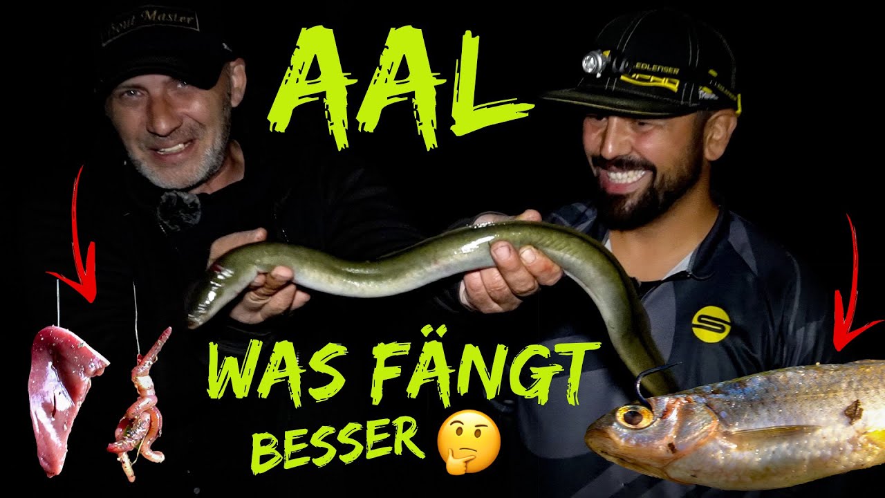 Mit der POSE auf AAL | Außergewöhnliche Köder 🤔 so viel Käse beim Angeln 🤪