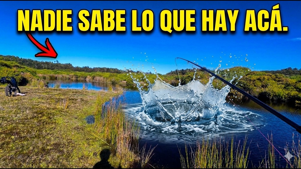 Nadie sabe lo que hay ac&aacute; - Trucha Fario en laguna secreta 🏍️