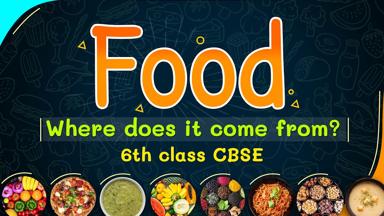 Food Where does it come from full chapter | 6th cbse science | ncert class 6 Food full chapter