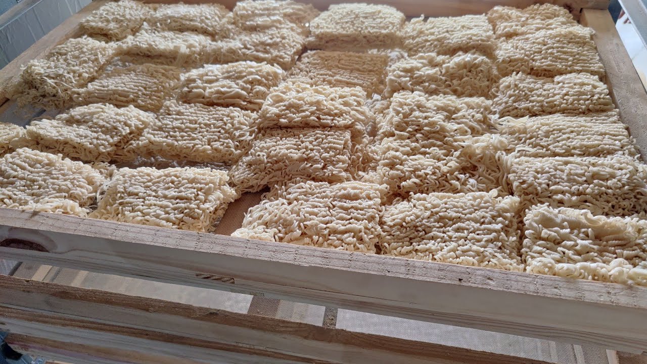 Hakka Noodle making Machine