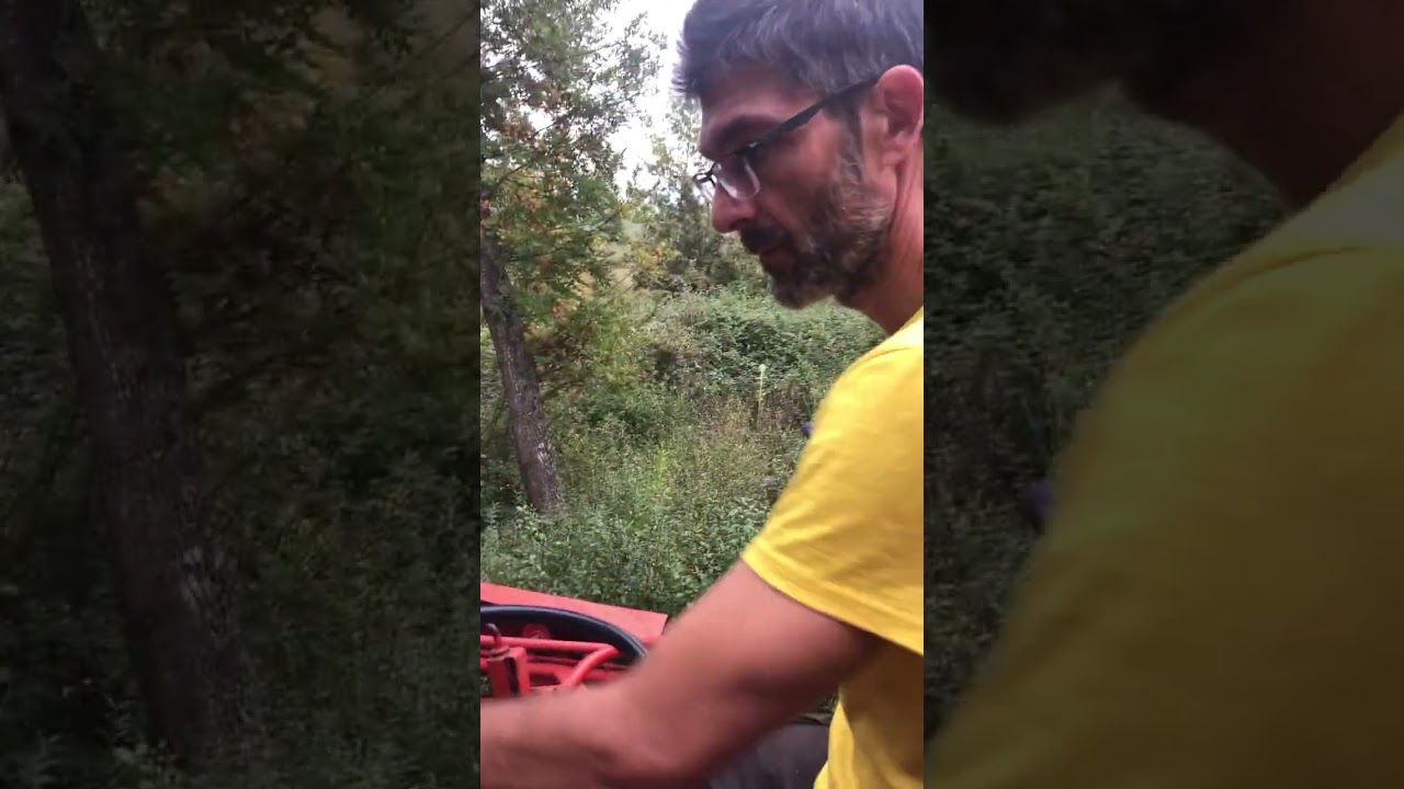 Alle prese con la discesa con il nostro GENERALE LAVERDA 200 🐝💪💖