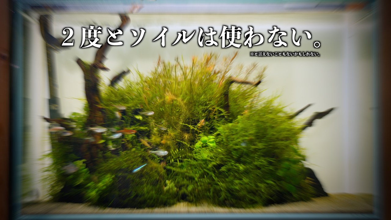 【検証5年】ソイルと砂利は不要。有茎草だってこれをすれば維持できるんです。