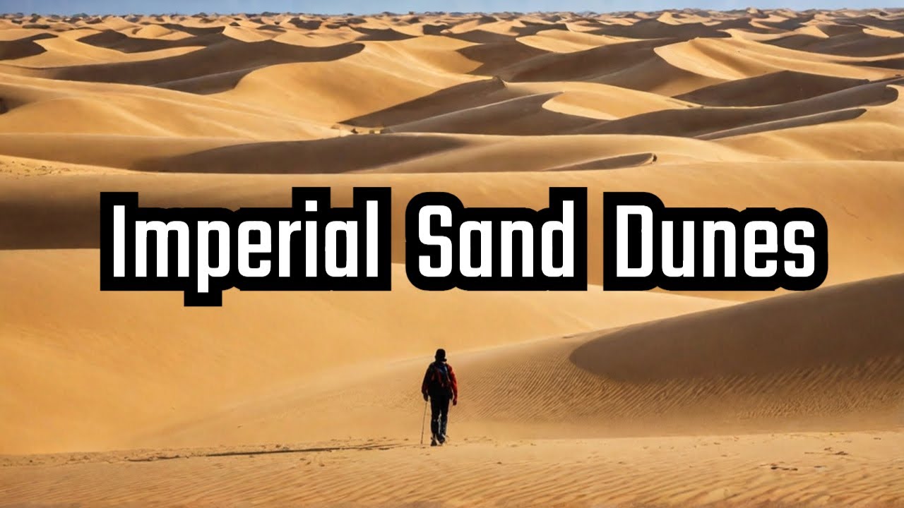 Explore the Imperial Sand Dunes
