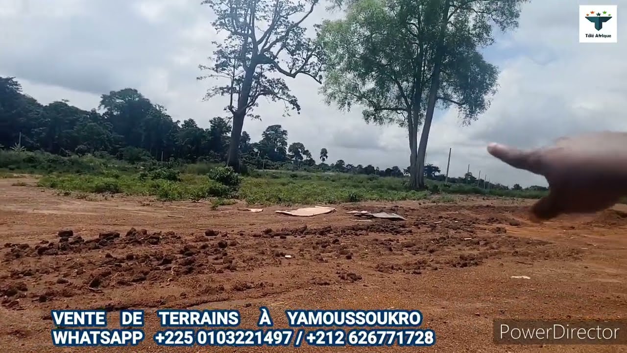 VENTE DE TERRAINS À YAMOUSSOUKRO À DES PRIX ABORDABLE