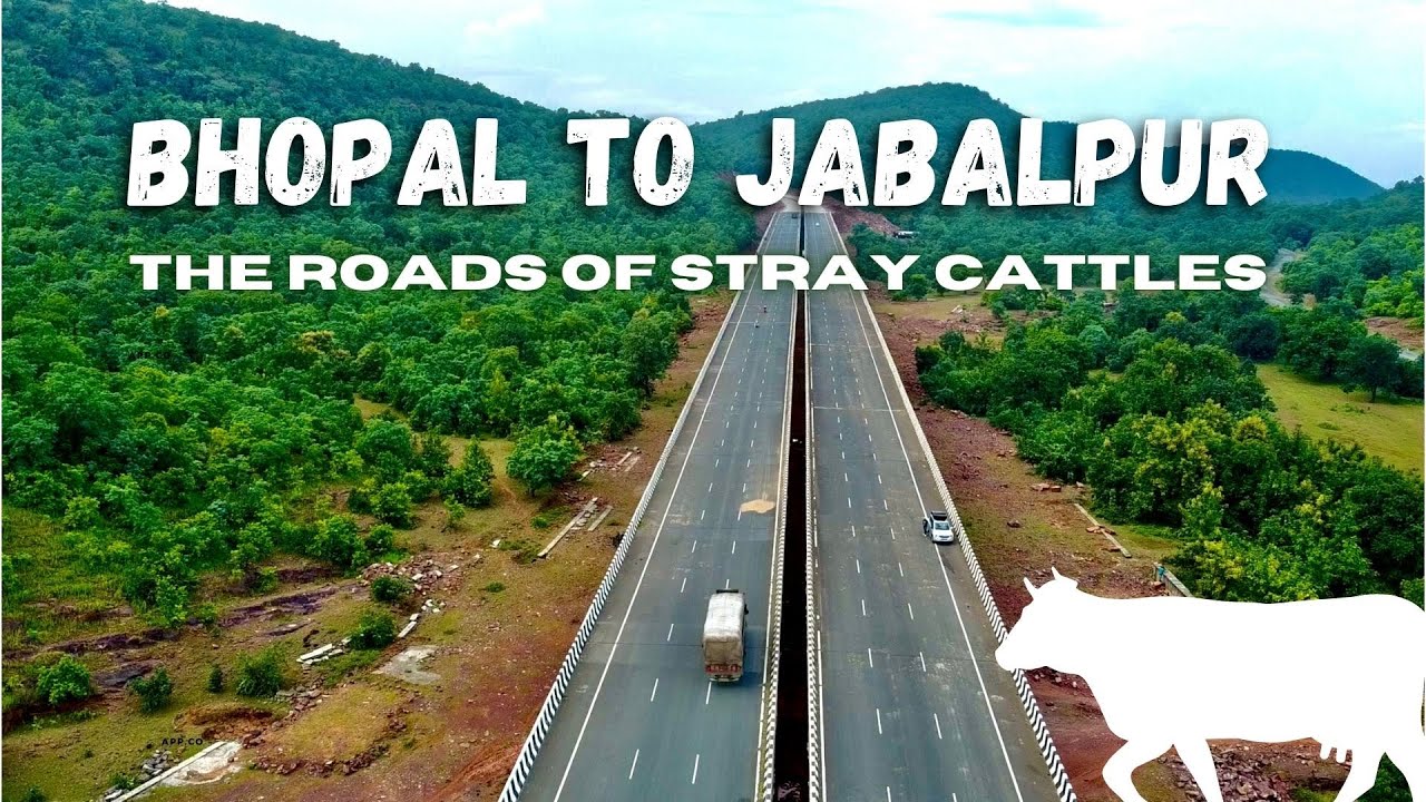 BHOPAL TO JABALPUR BY ROAD | ROAD TRIP BHOPAL TO JABALPUR #roadtrip #highway #besthighways #xuv500